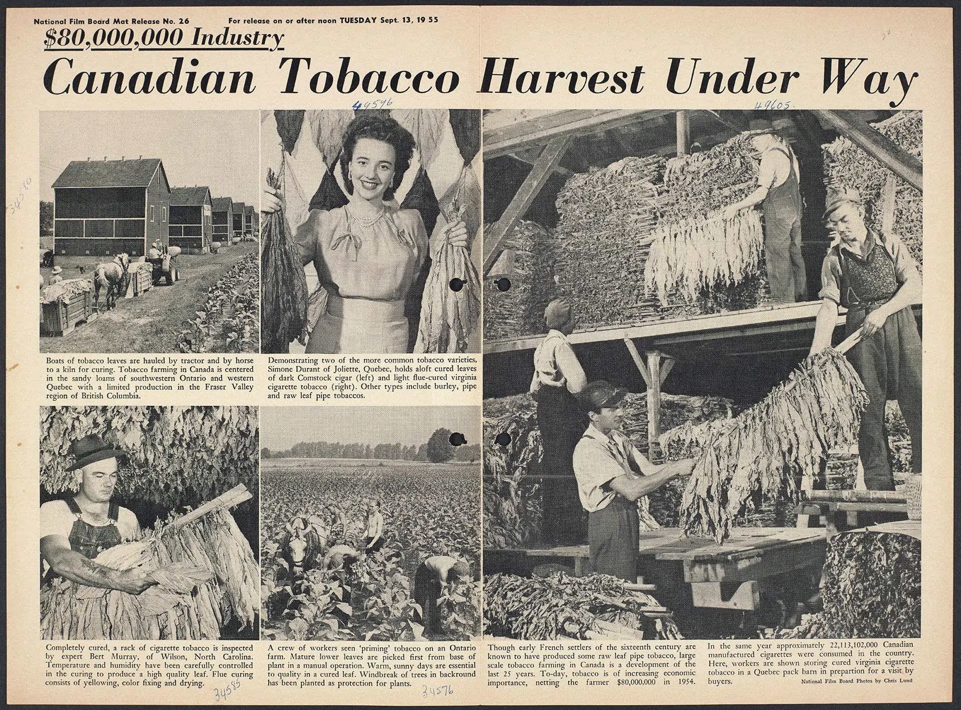 “$80,000,000 Industry”: the National Film Board’s photo story on the Canadian tobacco harvest.