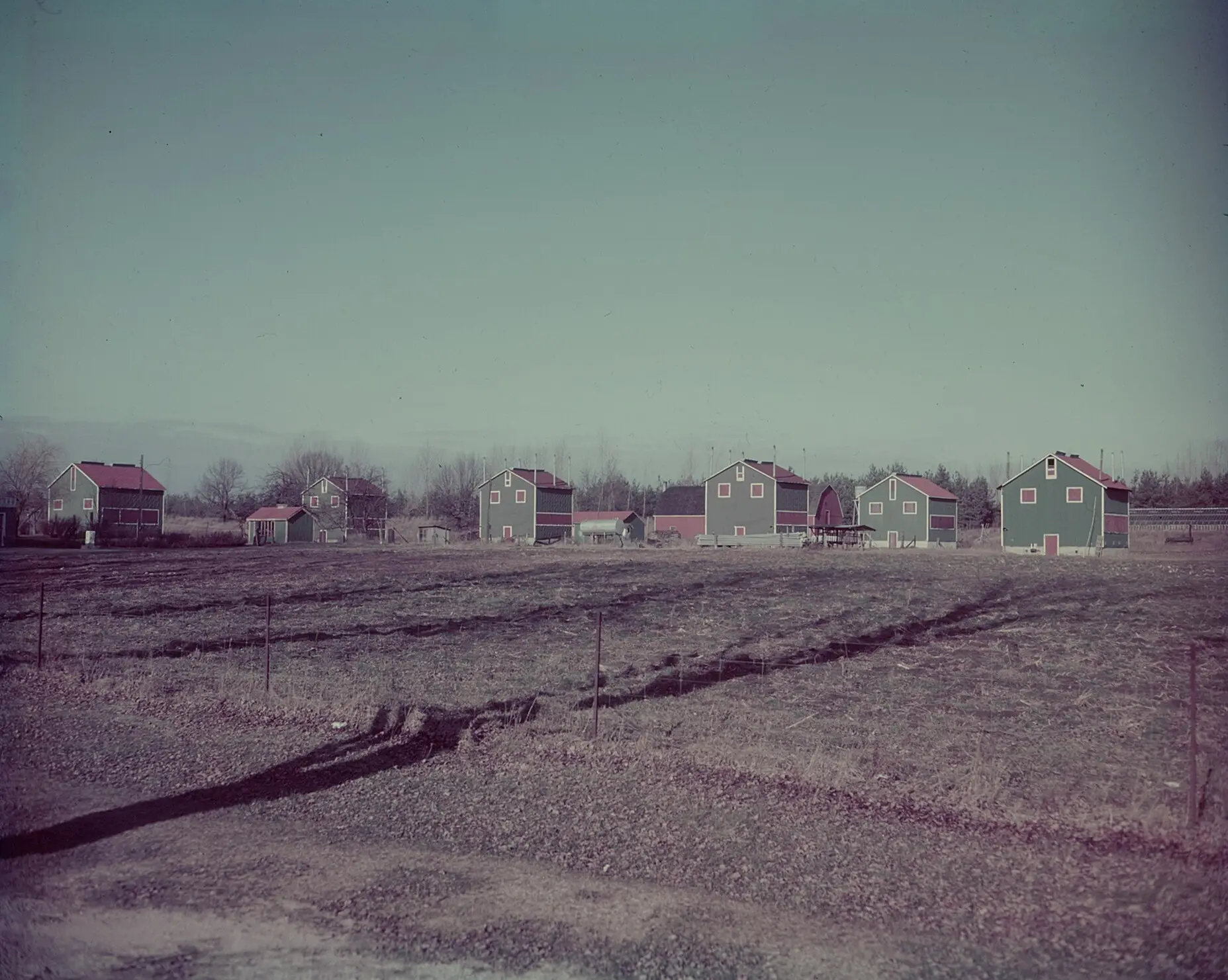 Tobacco kilns in a row at the edge of a field.